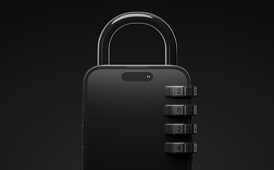 In-house security; lock on the side of the iPhone illustration